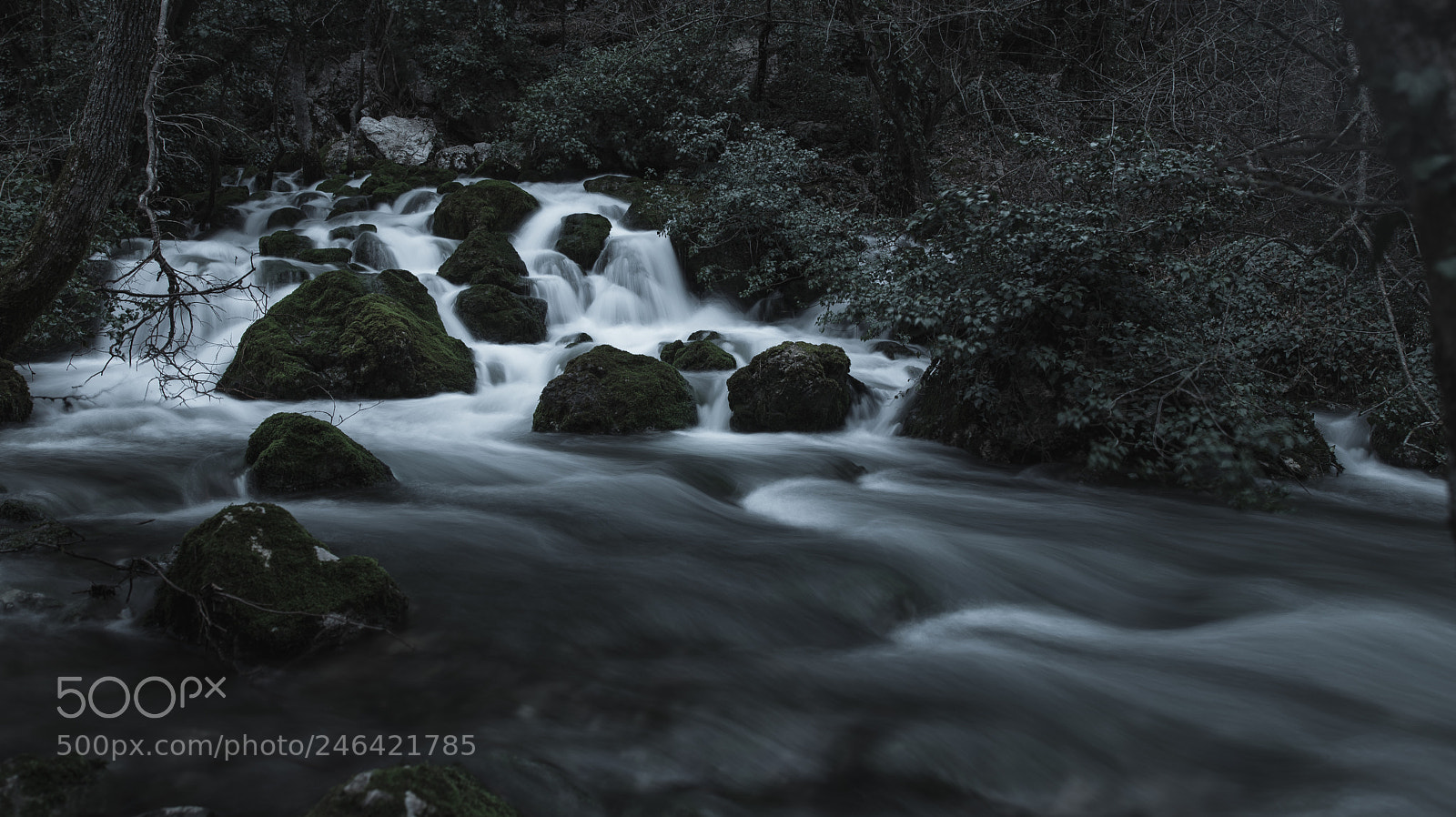 Canon EOS 6D Mark II sample photo. Slow river photography