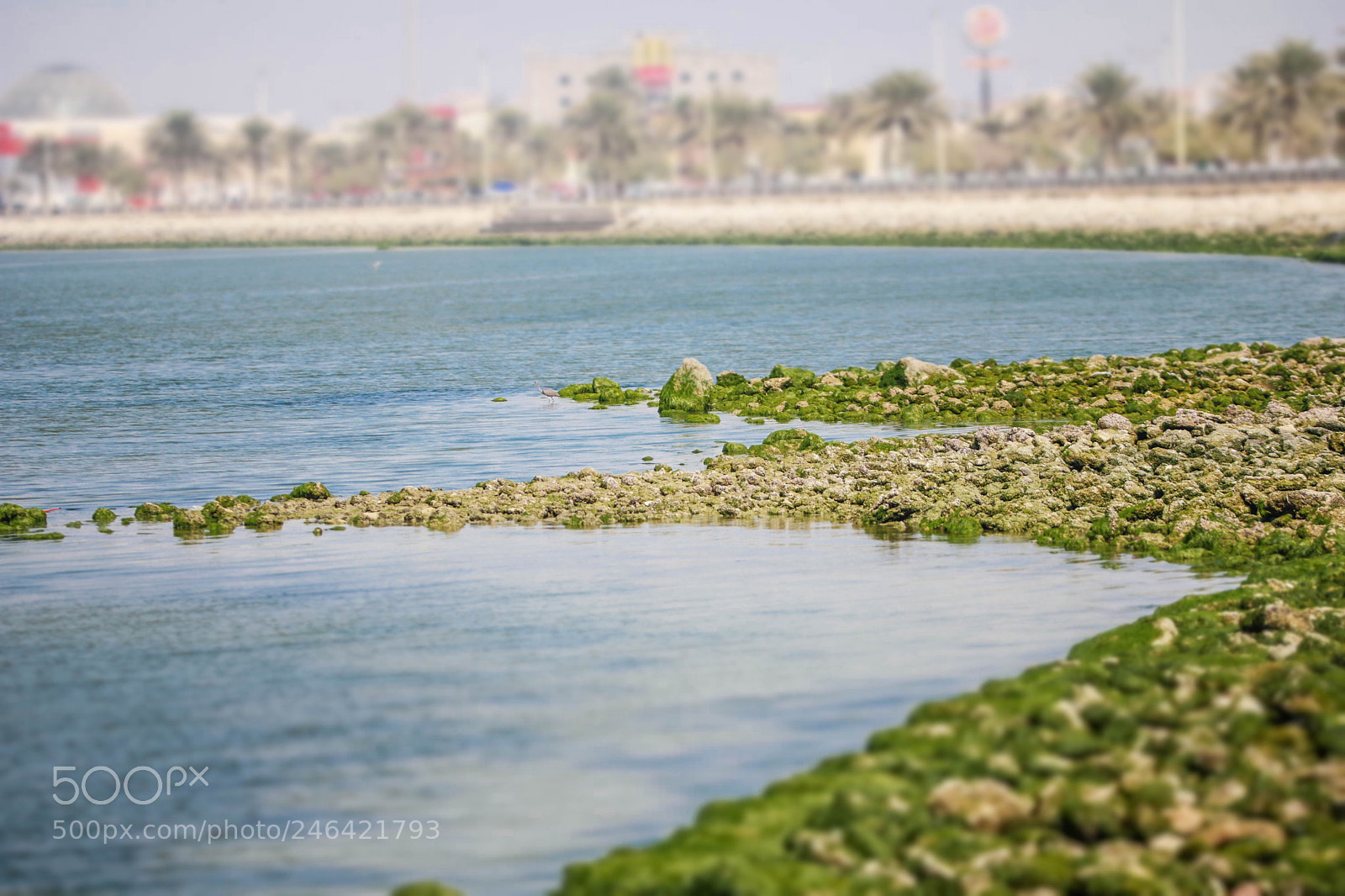 Canon EOS 750D (EOS Rebel T6i / EOS Kiss X8i) sample photo. Seascape photography