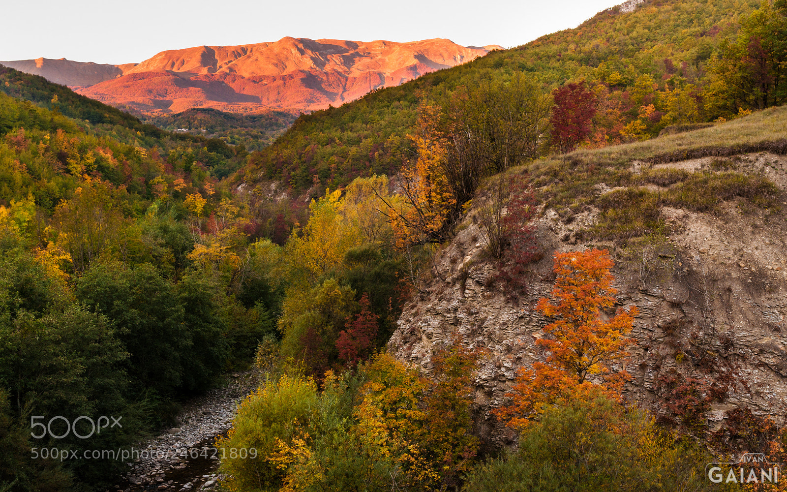Nikon D90 sample photo. Autumn dawn photography