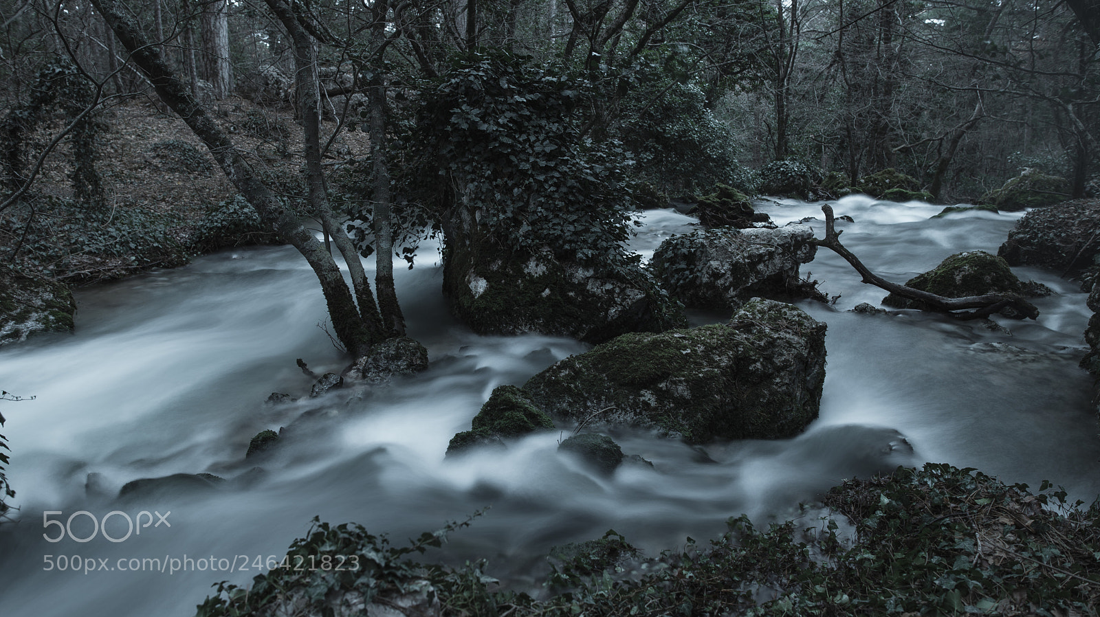 Canon EOS 6D Mark II sample photo. Slow river photography