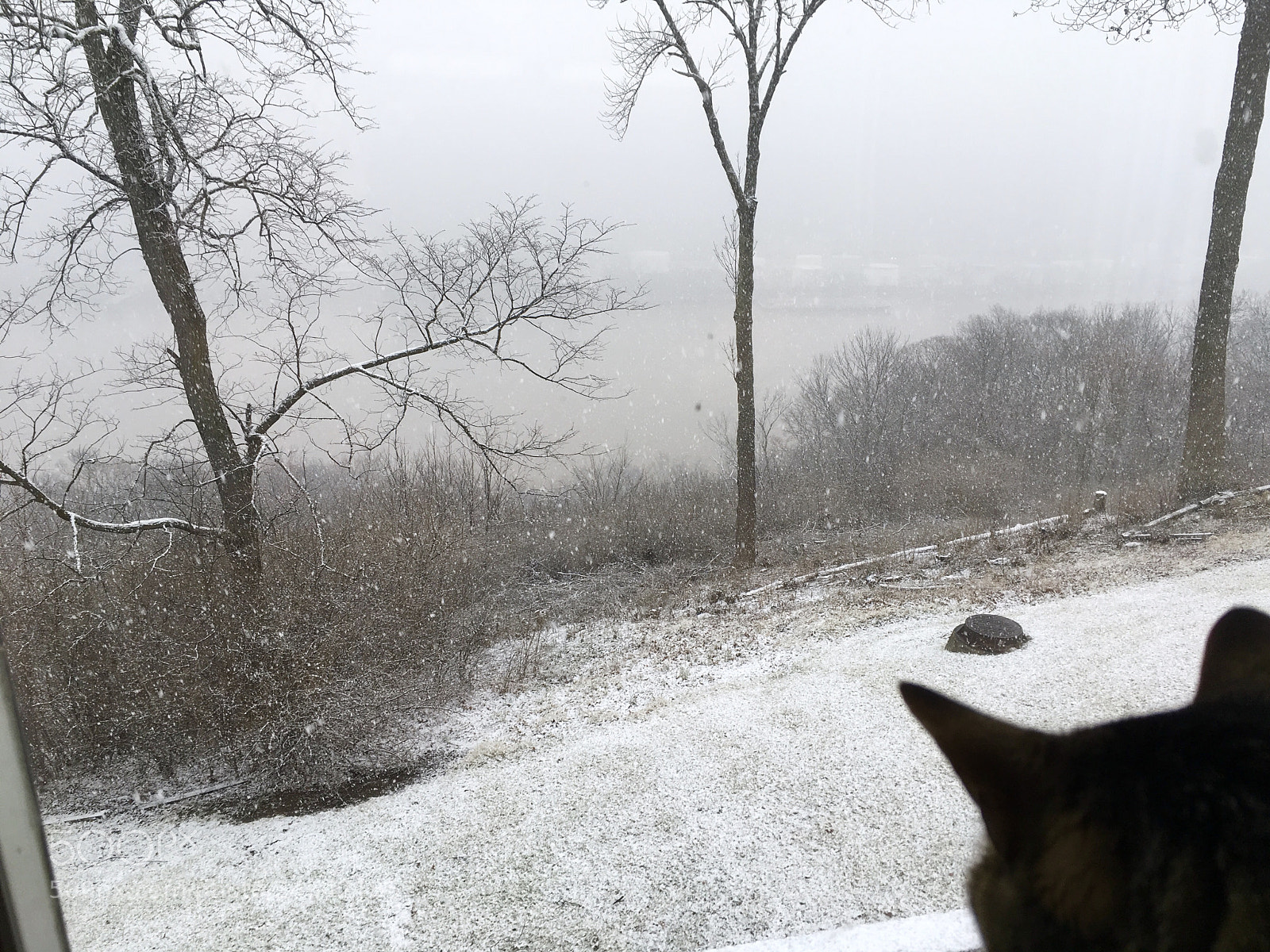 Apple iPad Pro sample photo. Winter calling photography
