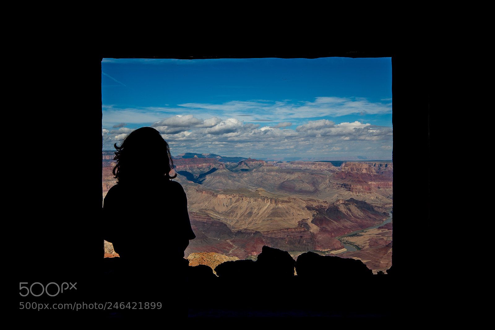Nikon D810 sample photo. Window photography