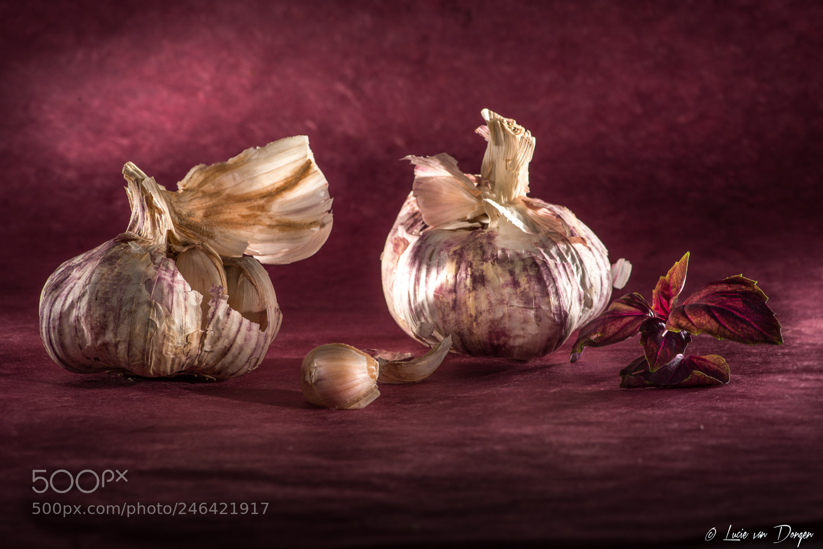 Nikon D610 sample photo. Garlic photography