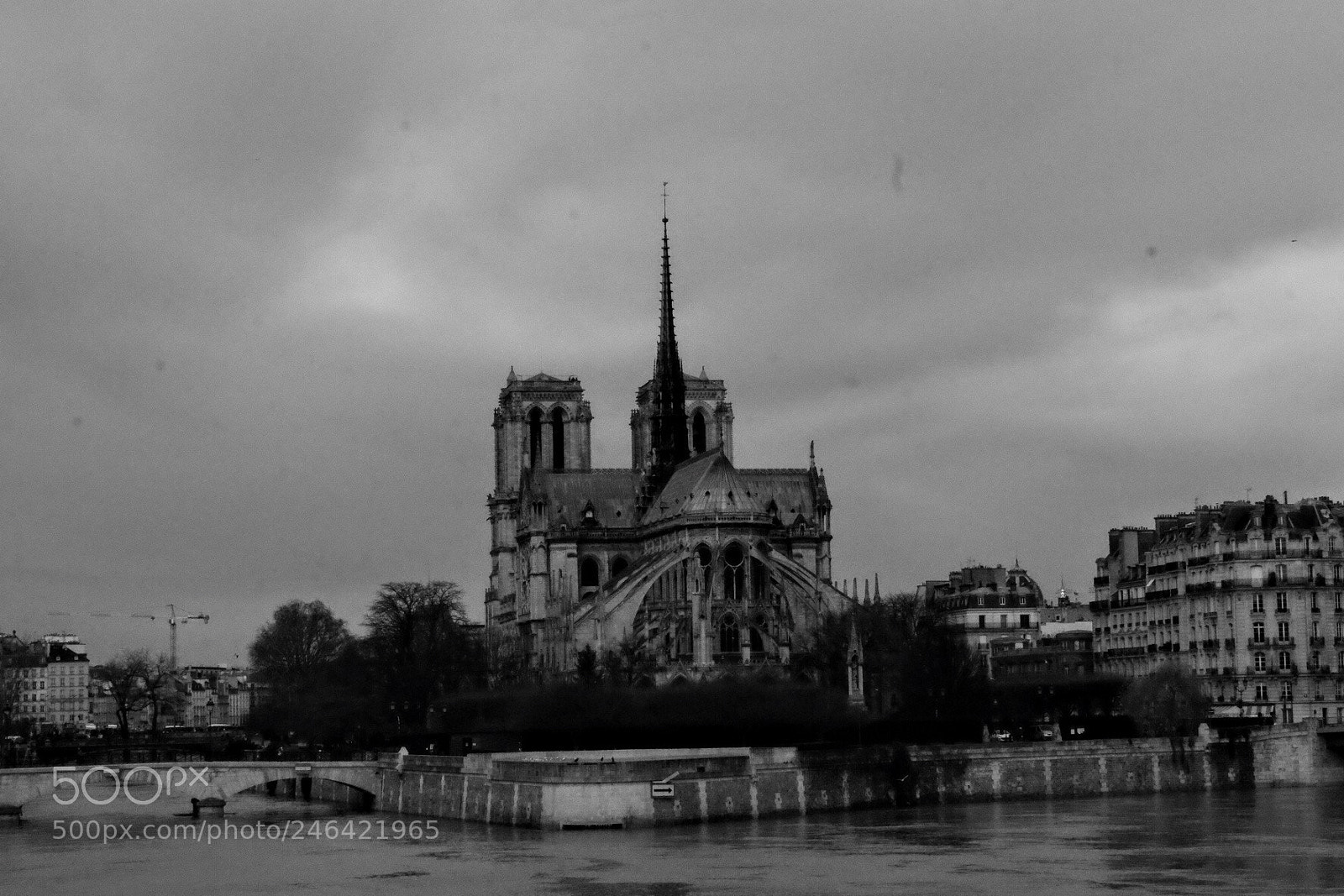 Fujifilm X-T10 sample photo. Notre-dame de paris photography