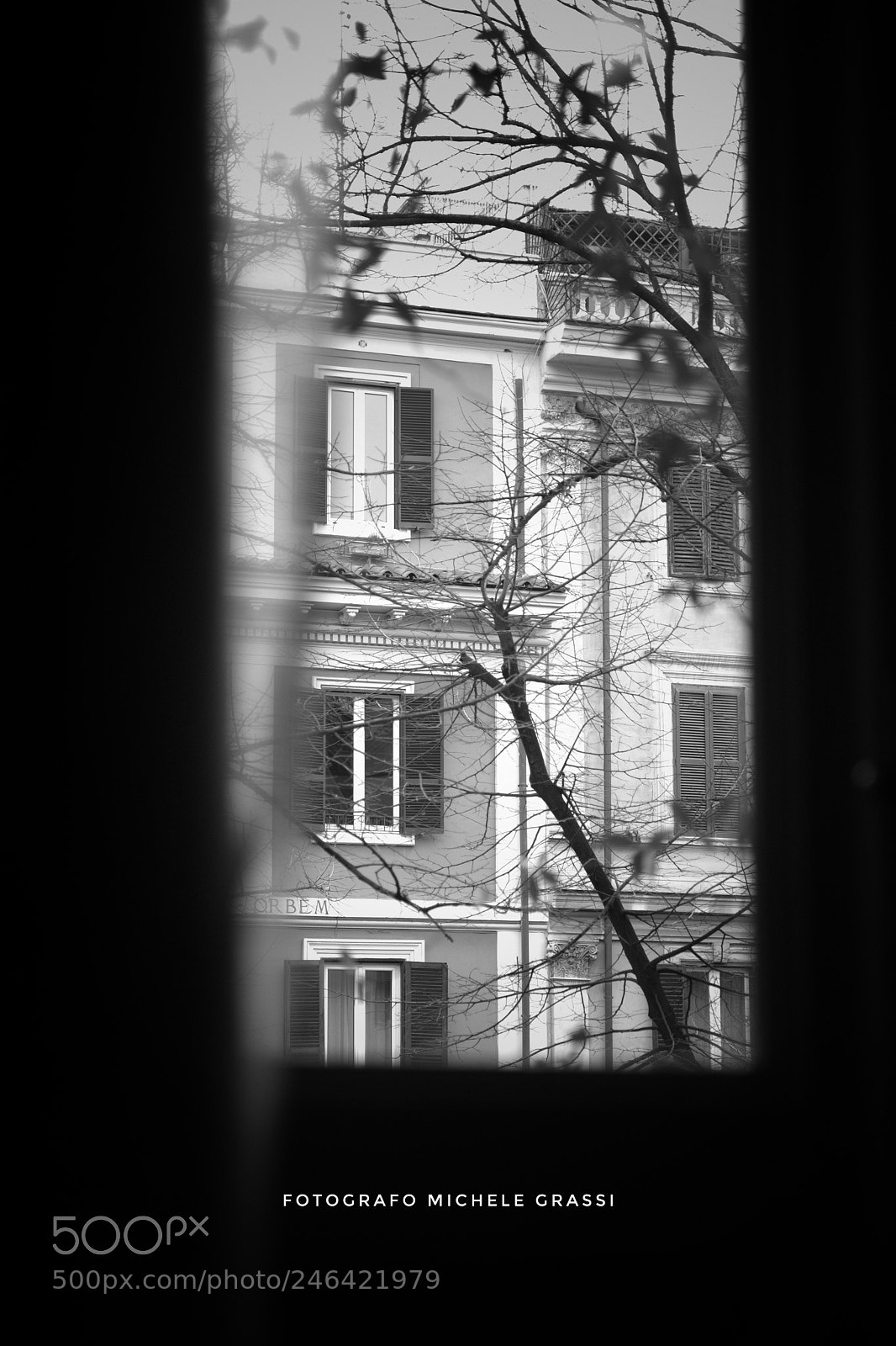 Fujifilm X-T2 sample photo. Untitled photography