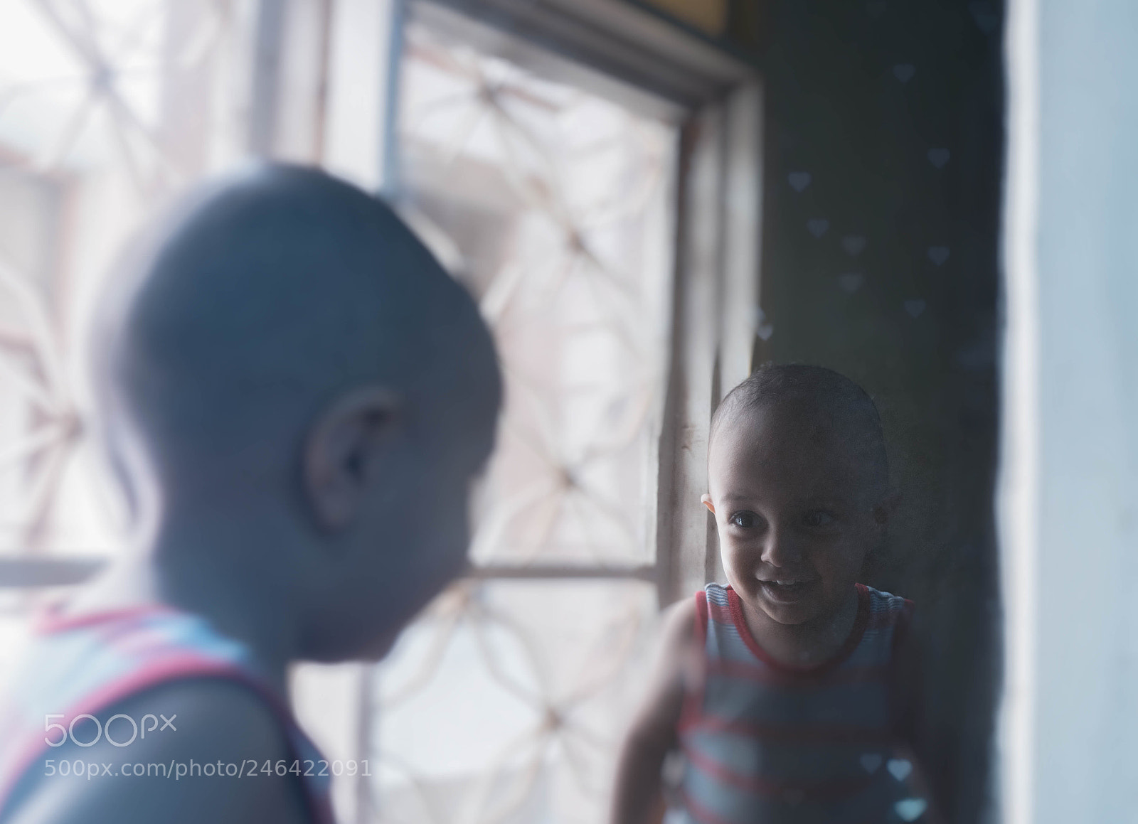 Sony a7R II sample photo. Smile on window* photography