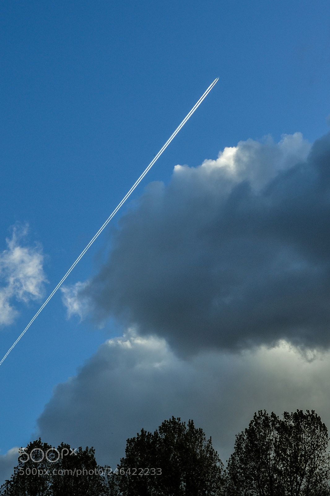 Nikon D3100 sample photo. Sky high photography