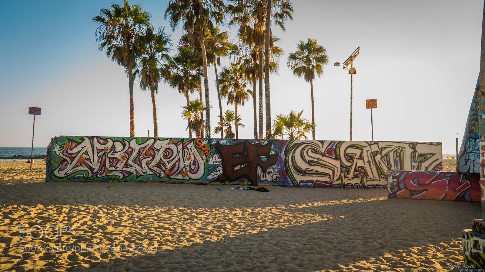 Sony a6300 sample photo. Untitled photography