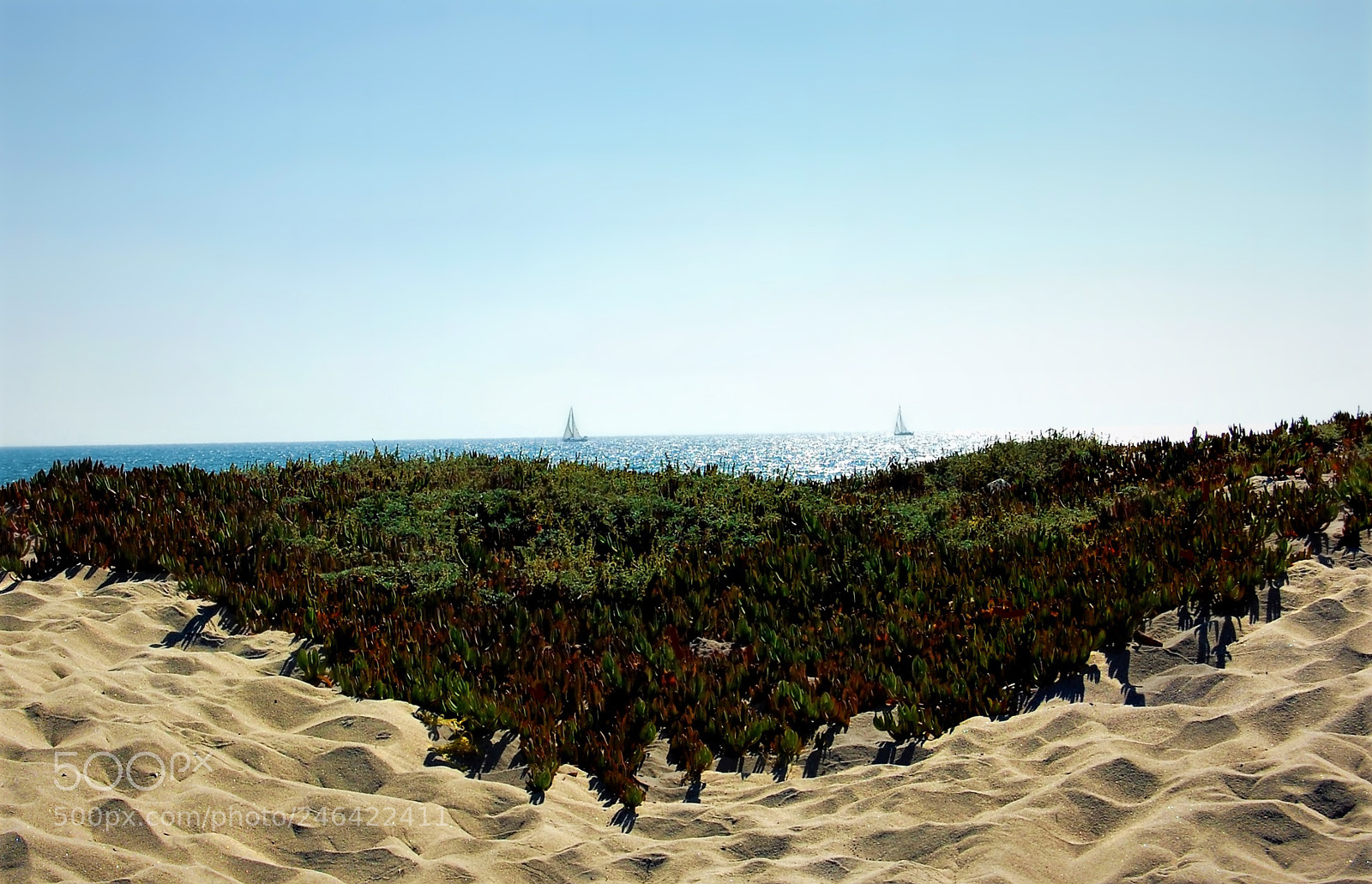 Nikon D40 sample photo. Two sail boats photography
