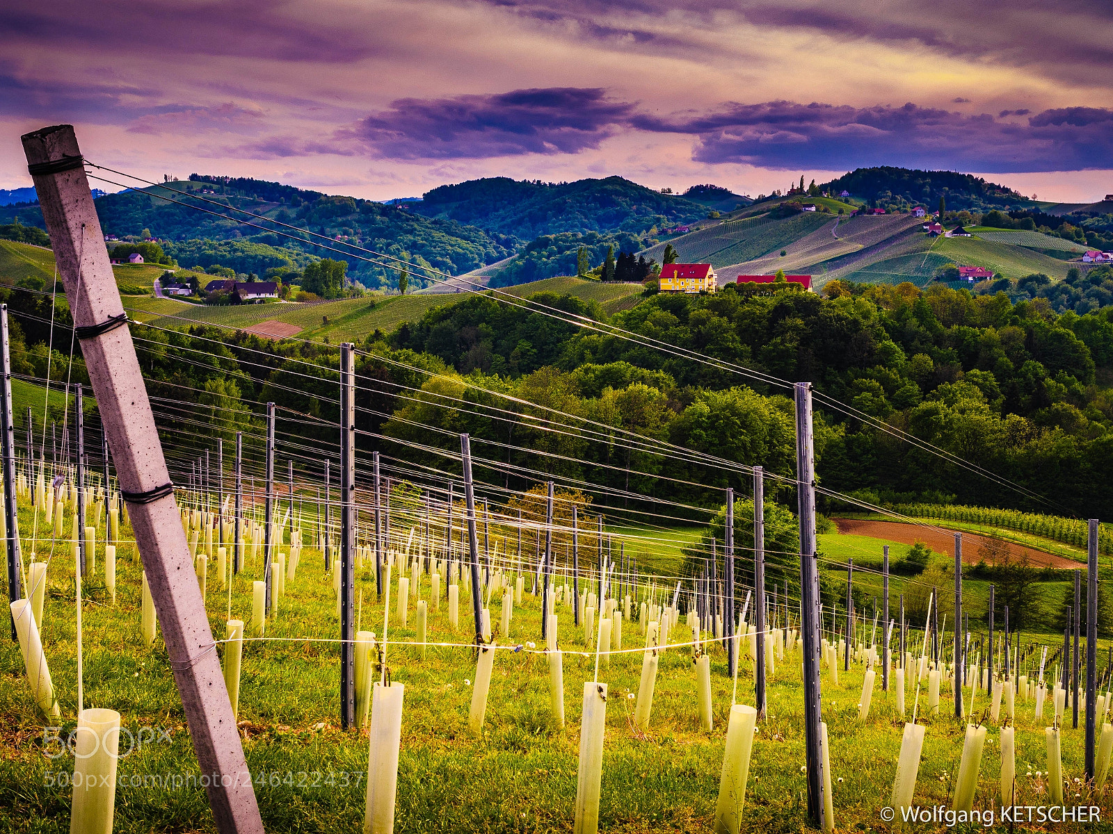 Panasonic Lumix DMC-GX8 sample photo. Styrian tuscany photography