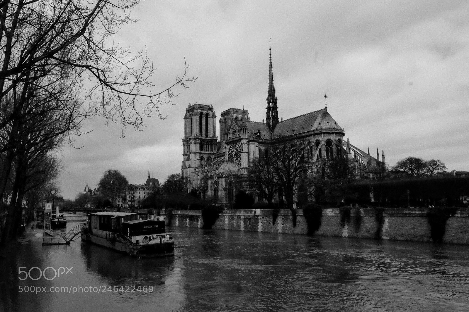 Fujifilm X-T10 sample photo. Notre-dame de paris photography