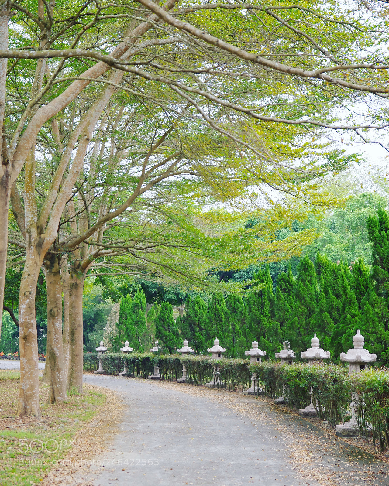 Pentax K-5 sample photo. My year my life photography