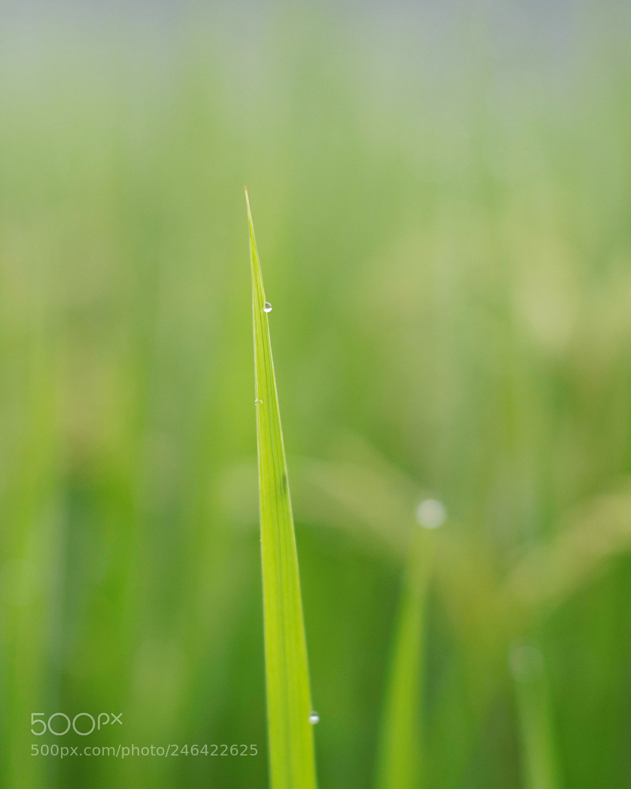 Pentax K-5 sample photo. The view from my photography