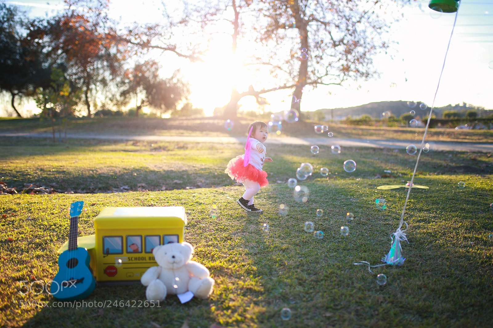 Canon EOS-1D X sample photo. Hq photography