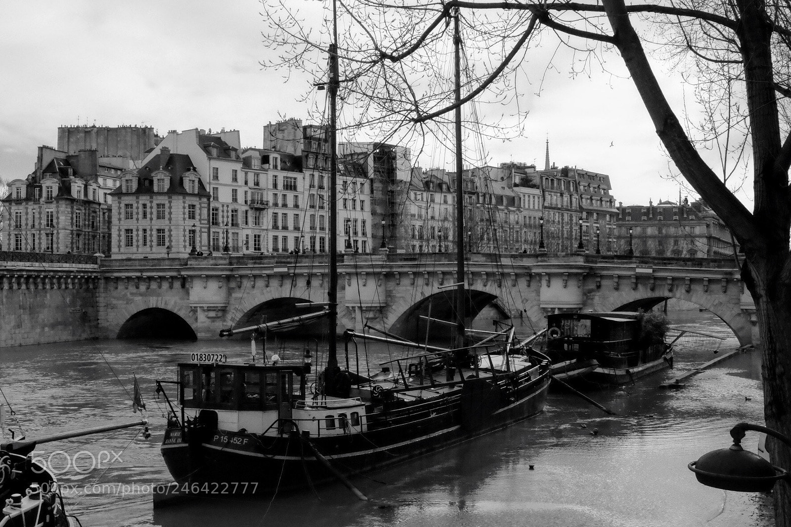 Fujifilm X-T10 sample photo. Boats on la seine photography