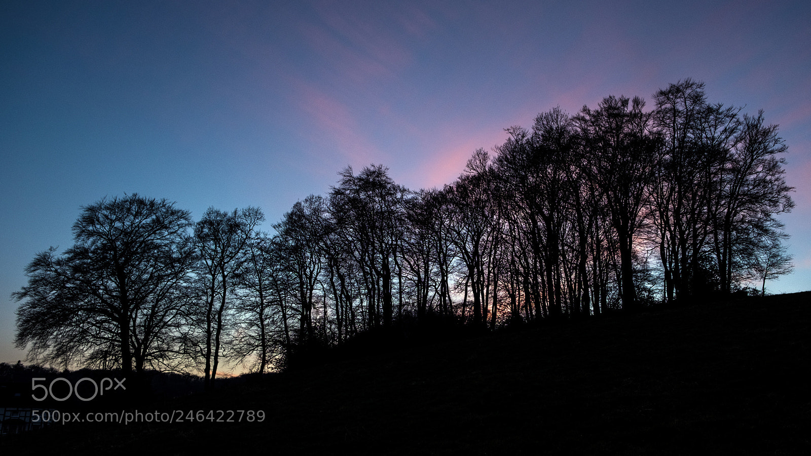 Fujifilm X-T20 sample photo. Evening horizon photography