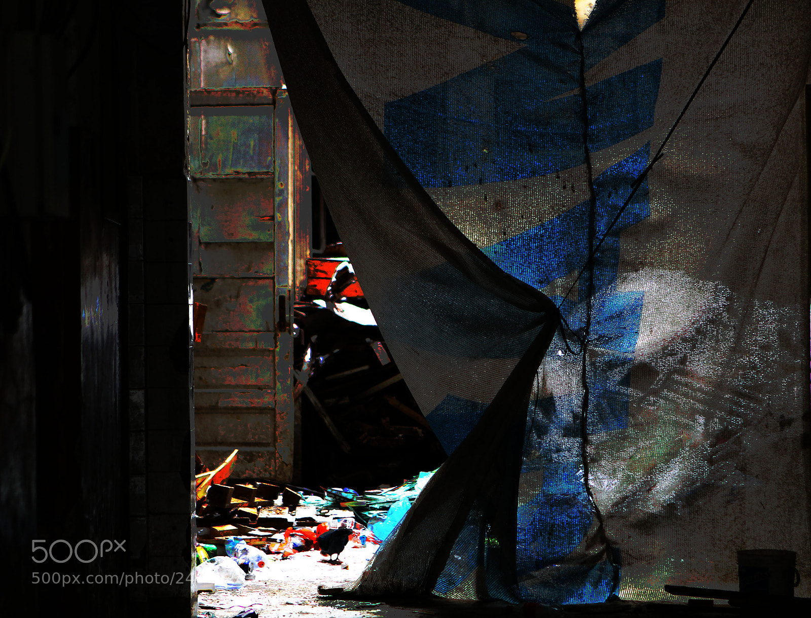 Canon EOS 60D sample photo. Img photography