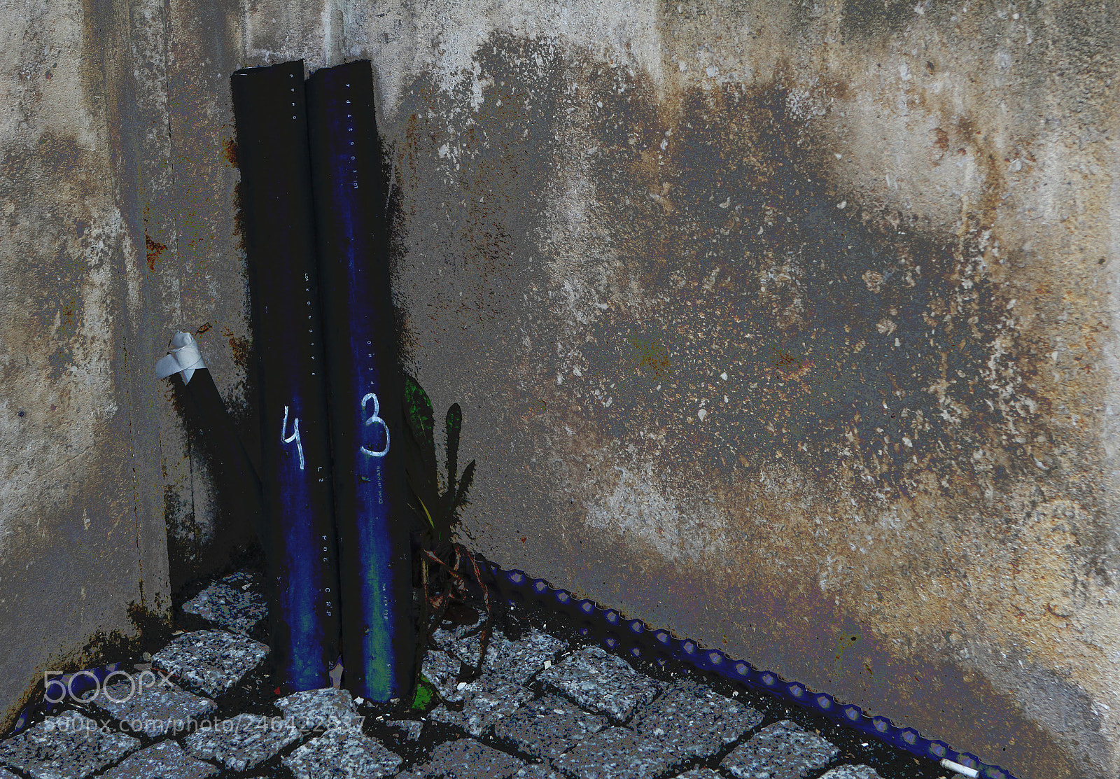 Canon EOS 60D sample photo. Img photography