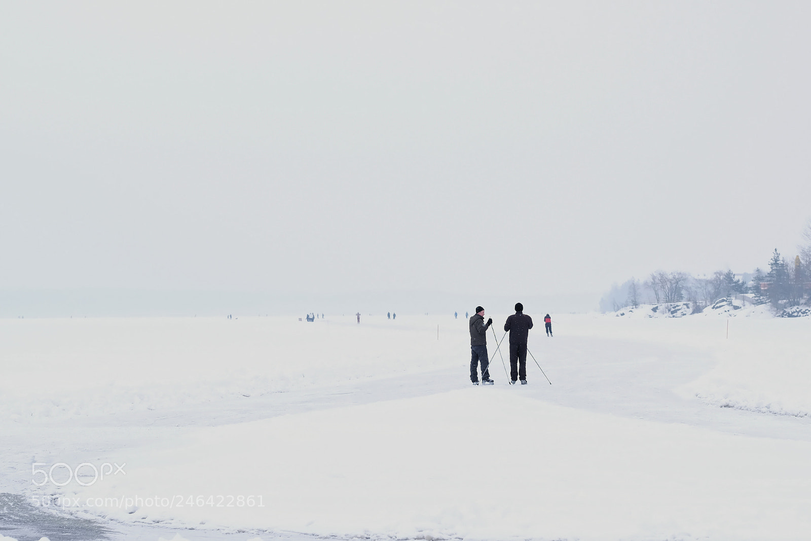 Fujifilm X-T2 sample photo. Skaters photography