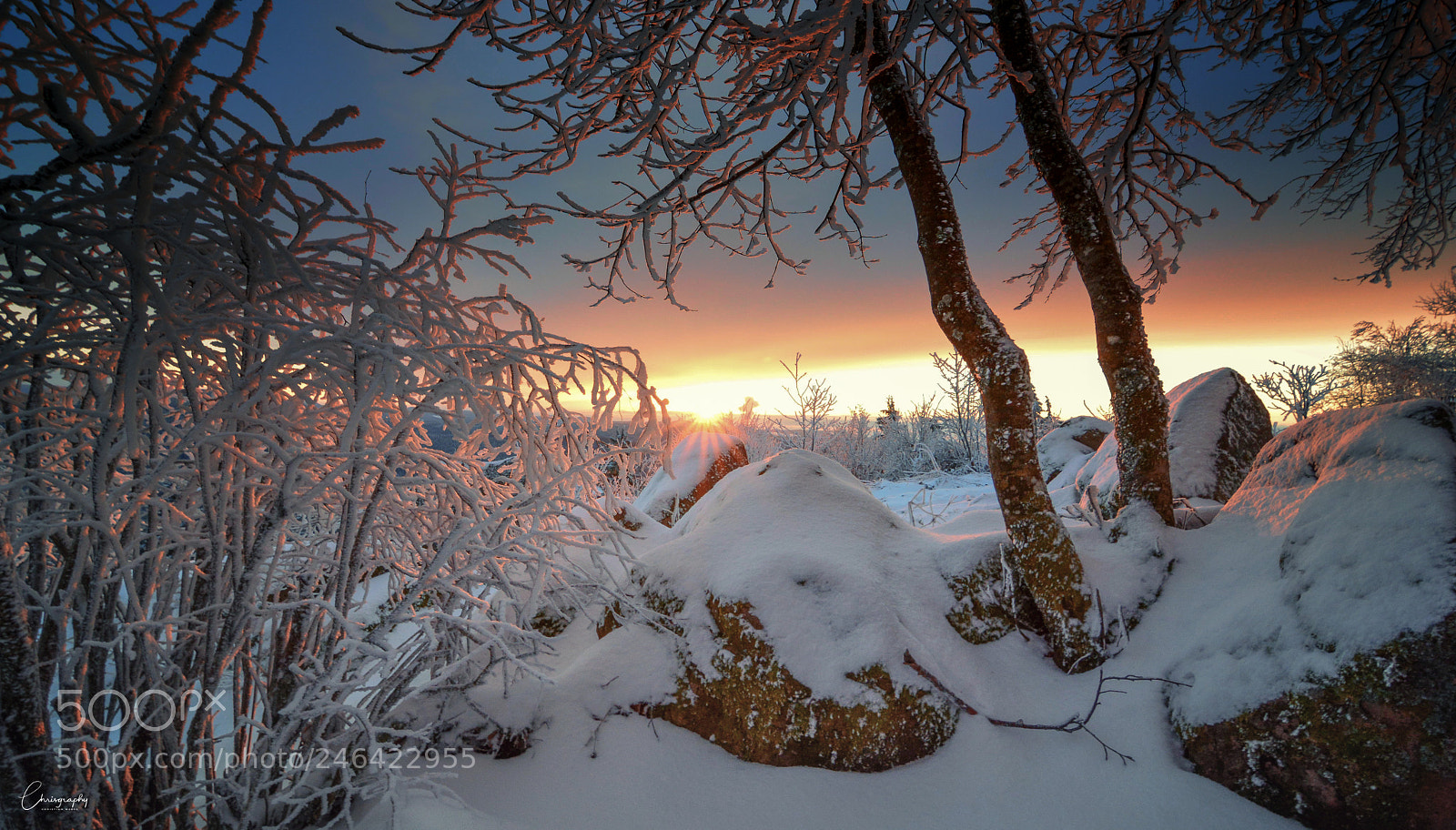 Nikon D7100 sample photo. Winter sunrise photography