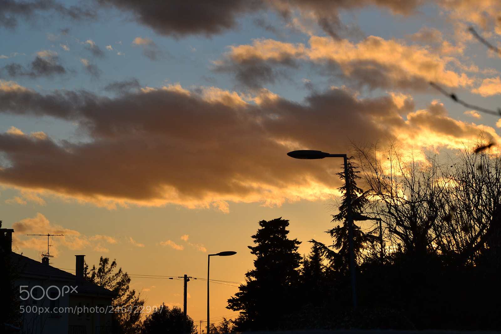 Nikon D3100 sample photo. Sunset photography