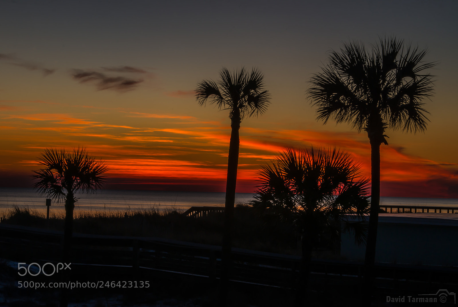 Nikon D800 sample photo. Sunset photography