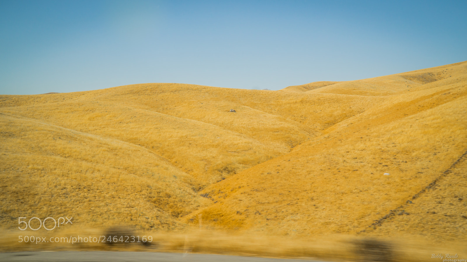 Sony a6300 sample photo. Cali 2017 photography