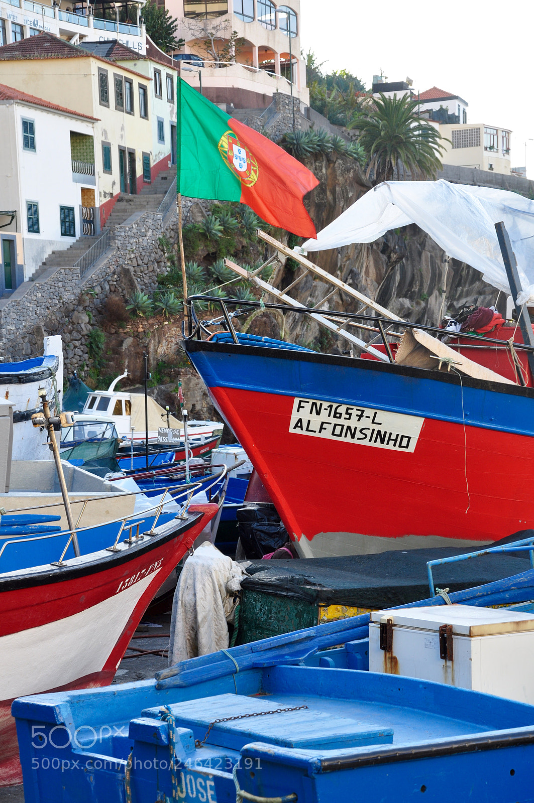 Nikon D90 sample photo. Camara de lobos, madeira photography