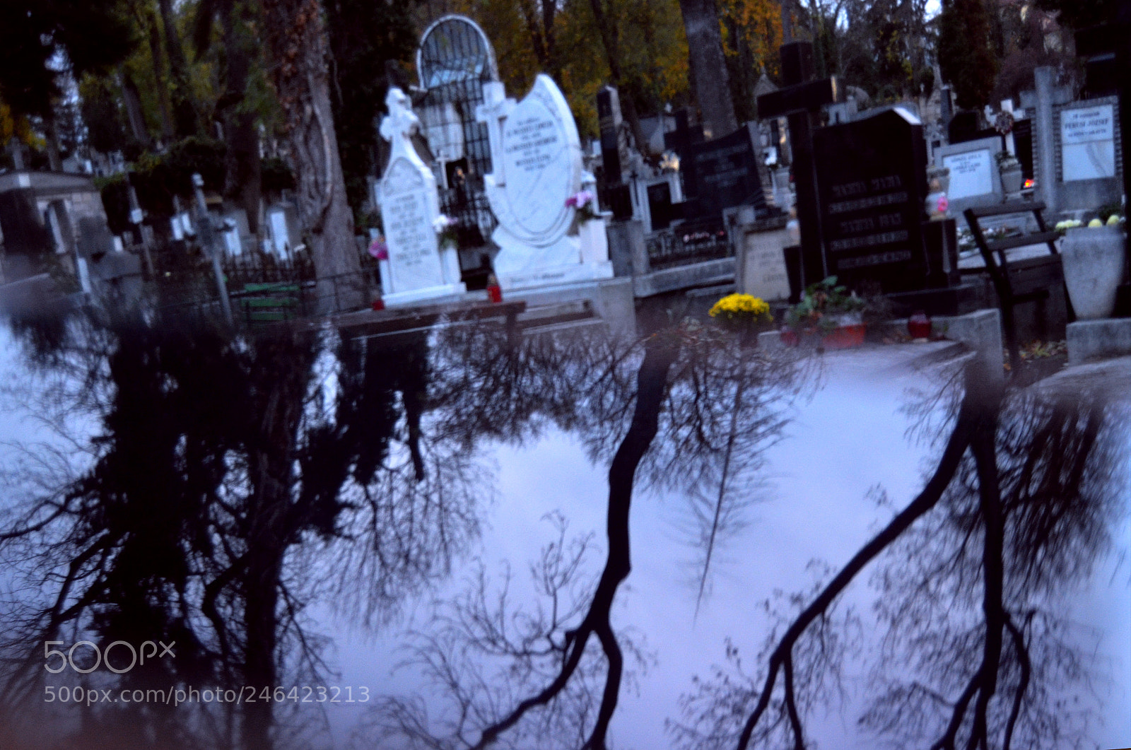 Nikon D5100 sample photo. Toamna [[ photography