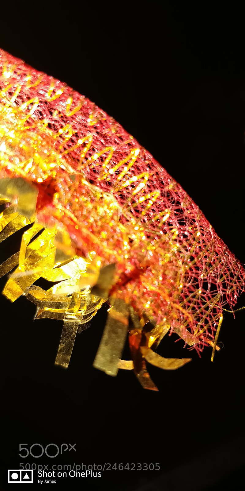 OnePlus 5T sample photo. Red netted band photography