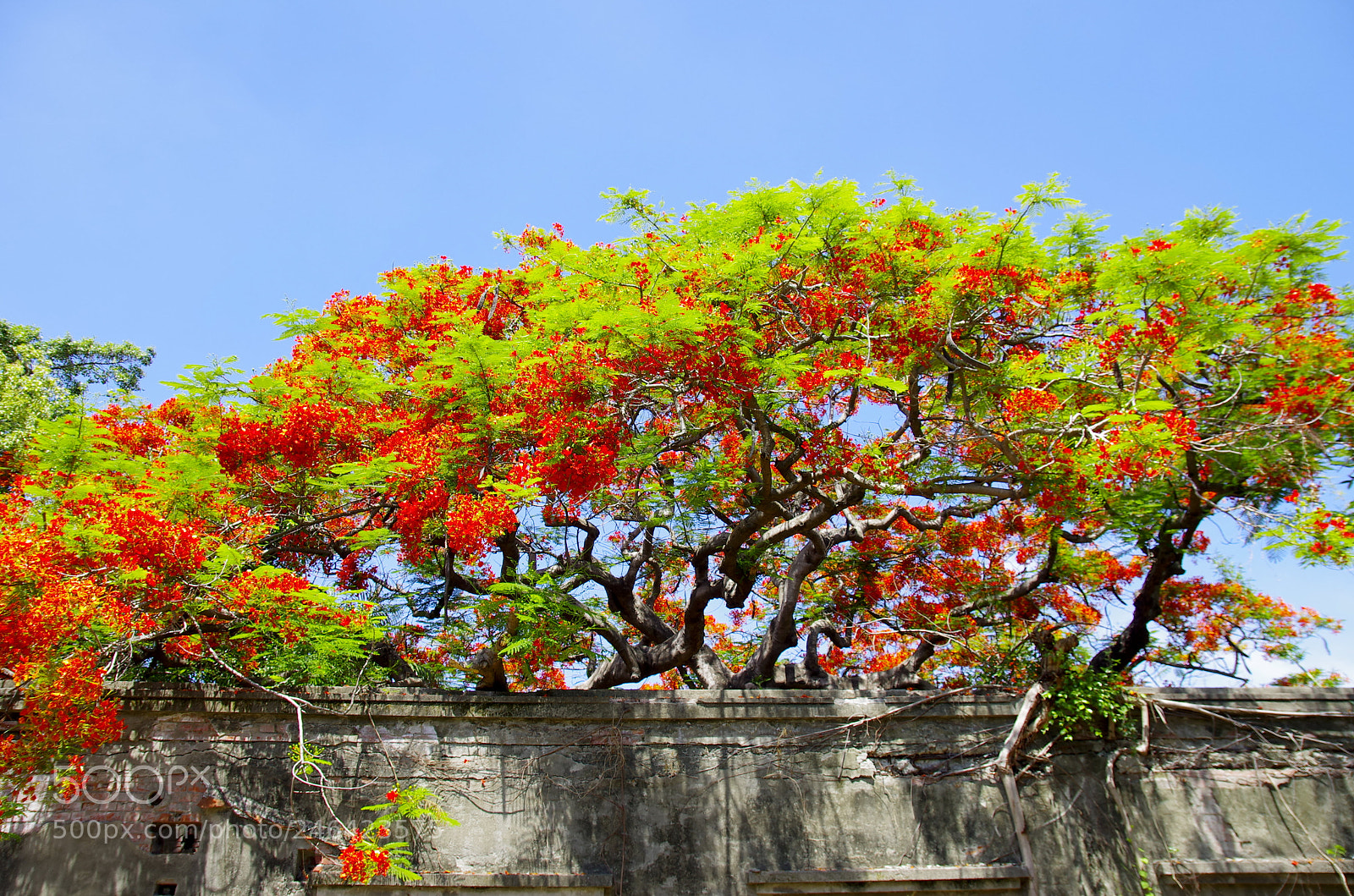 Pentax K-5 sample photo. The view from my photography