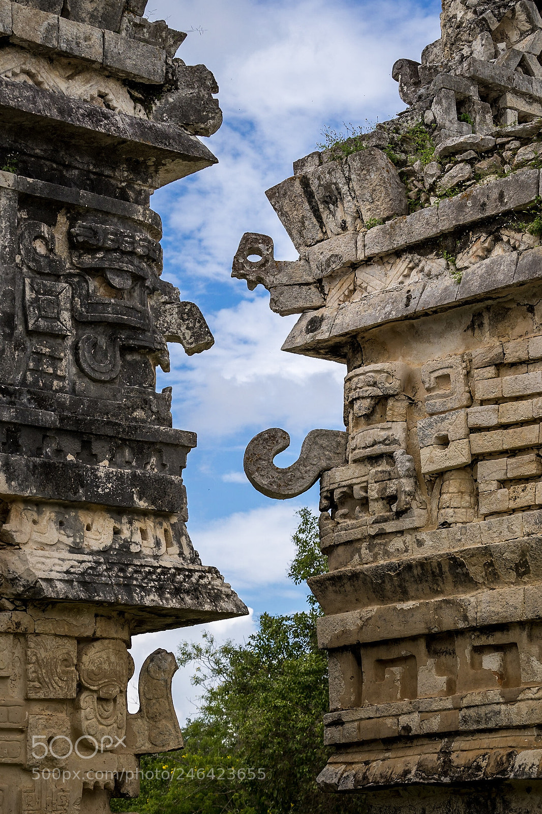 Sony a7 II sample photo. Photo of two adjacent photography