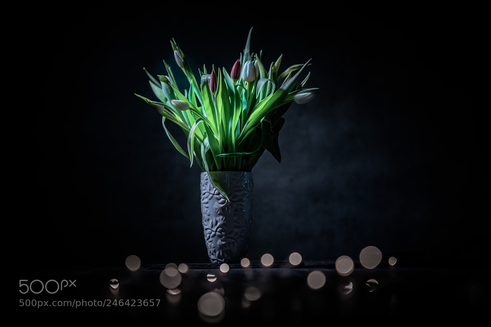 Sony a7R II sample photo. Flowers photography