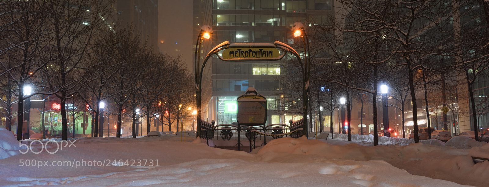 Sony a7 II sample photo. Metropolitain photography