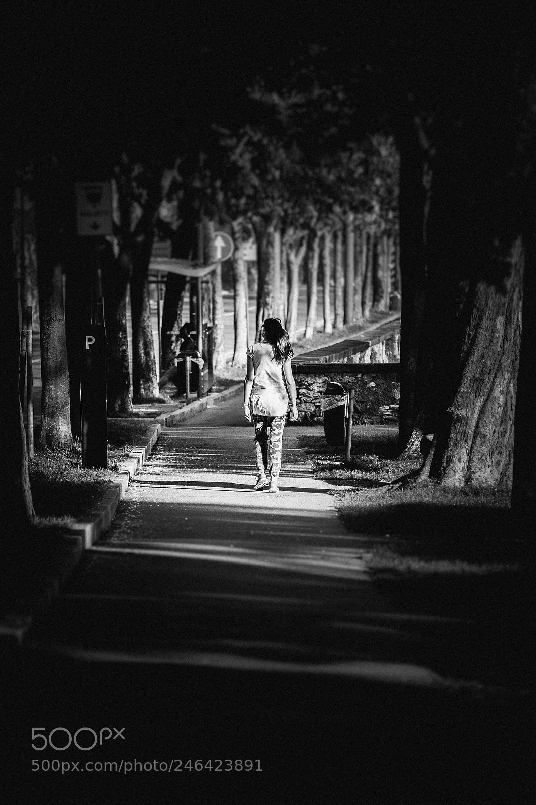 Fujifilm X-T1 sample photo. Viale delle mura photography