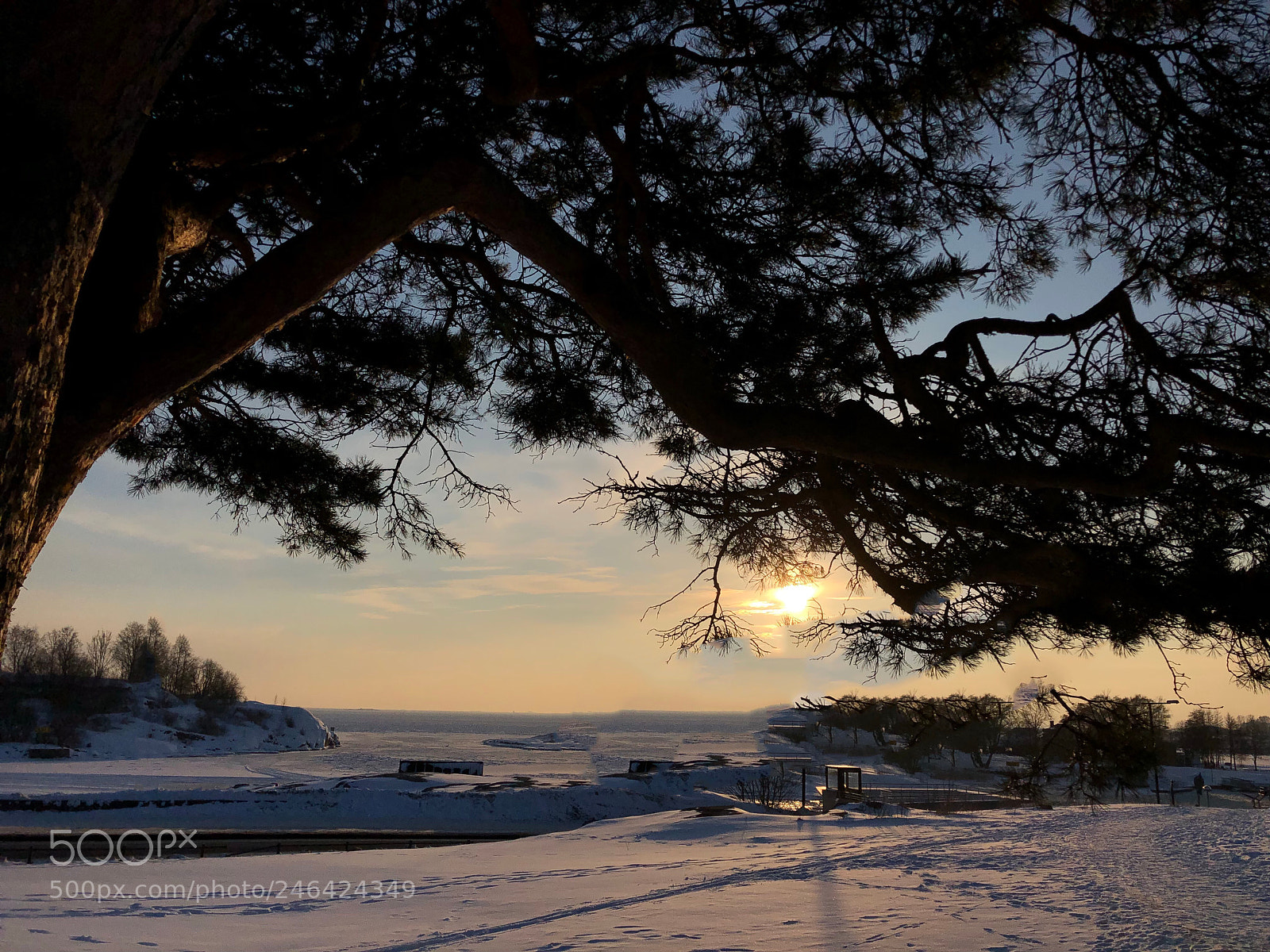 Apple iPhone X sample photo. Afternoon sun above frozen photography
