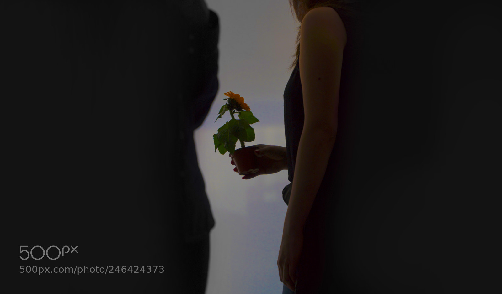 Sony a6500 sample photo. Sunflowgirls photography