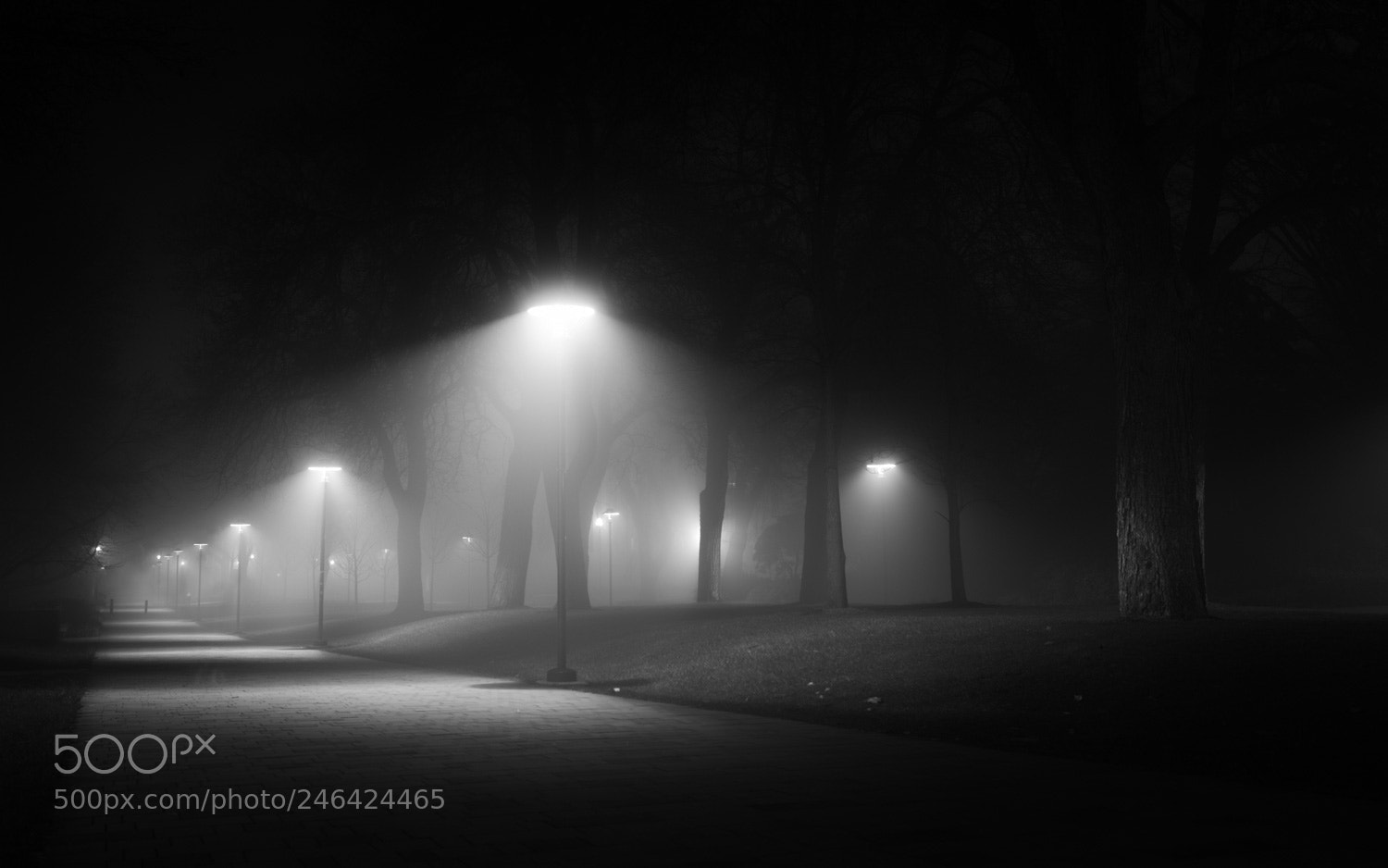 Canon EOS 6D sample photo. One foggy night photography