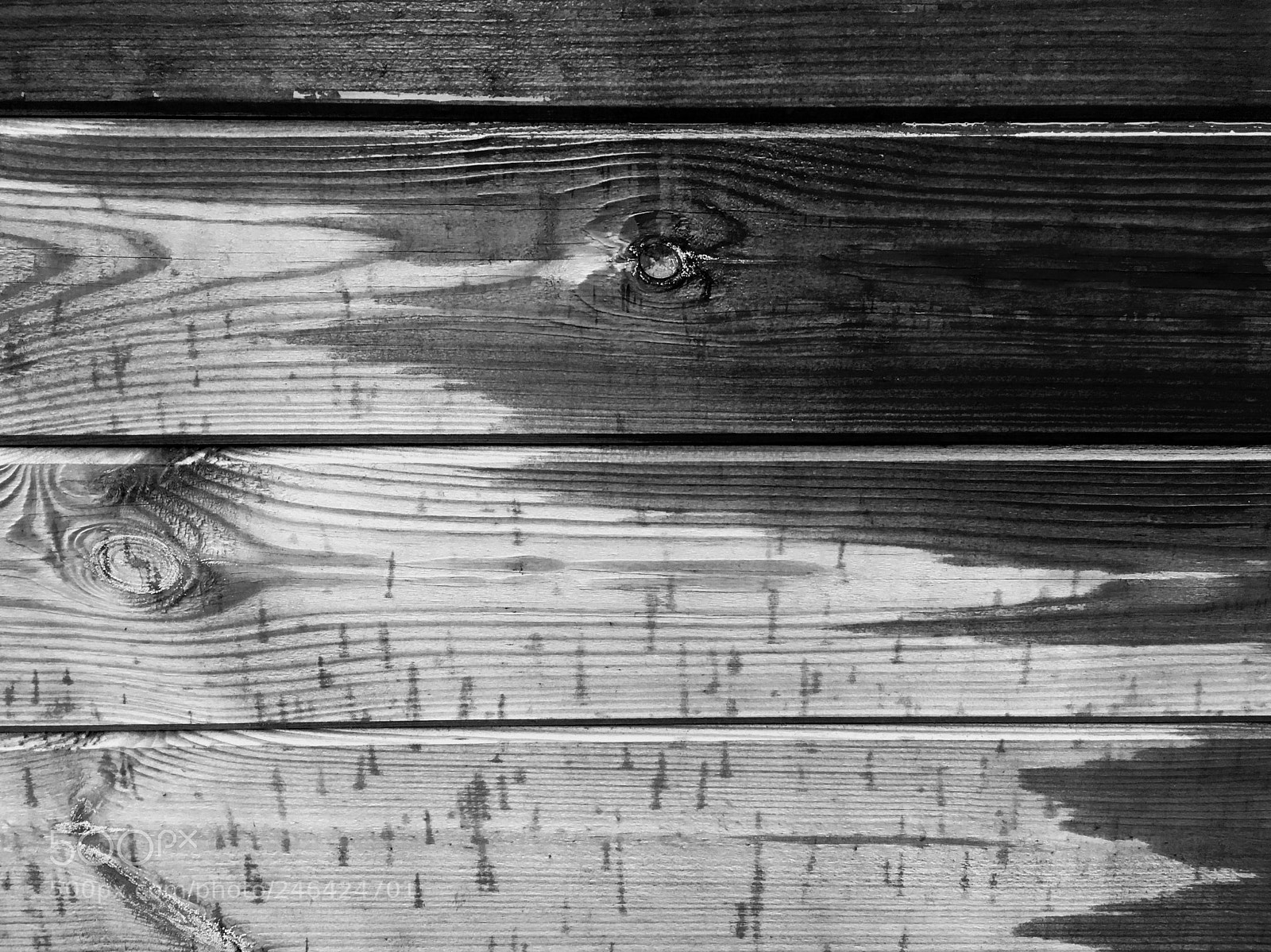 Apple iPhone 6s sample photo. Wet wood photography