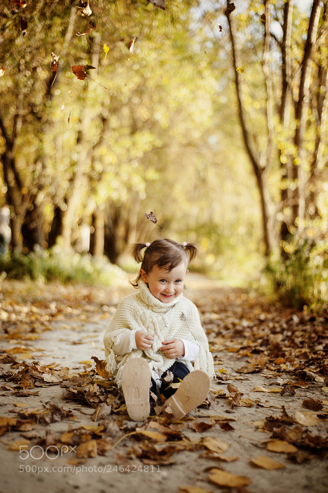 Nikon D3 sample photo. 25569447468.jpg photography