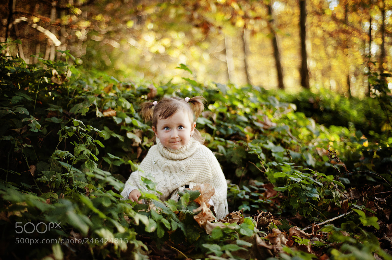 Nikon D3 sample photo. 27662394069.jpg photography