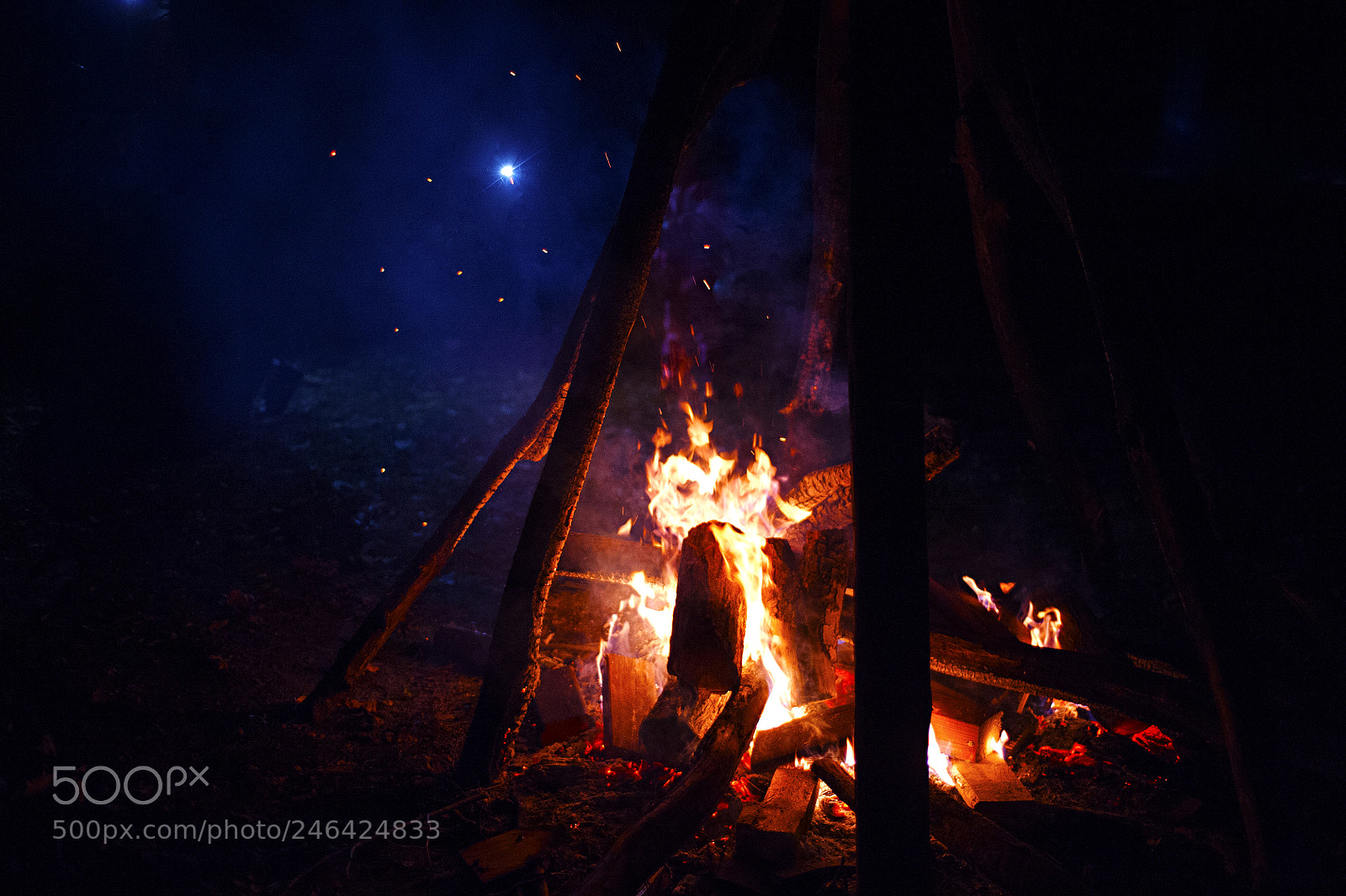Nikon D3 sample photo. 25569481548.jpg photography