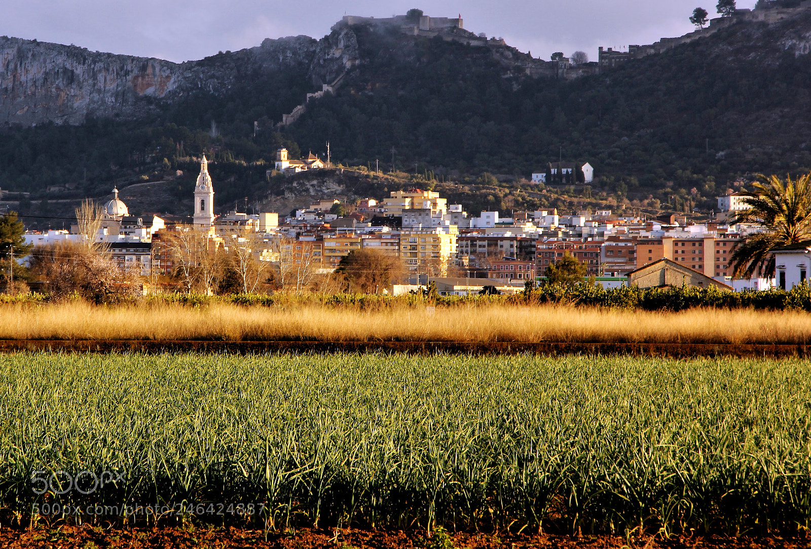 Canon EOS 60D sample photo. Xativa firall photography