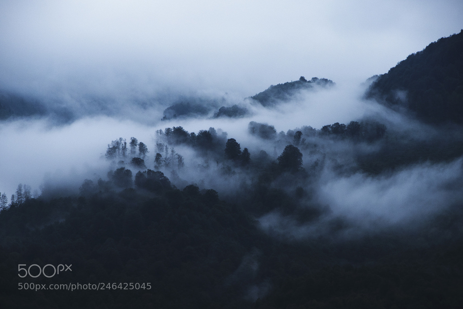 Nikon D810 sample photo. Artvin turkey photography