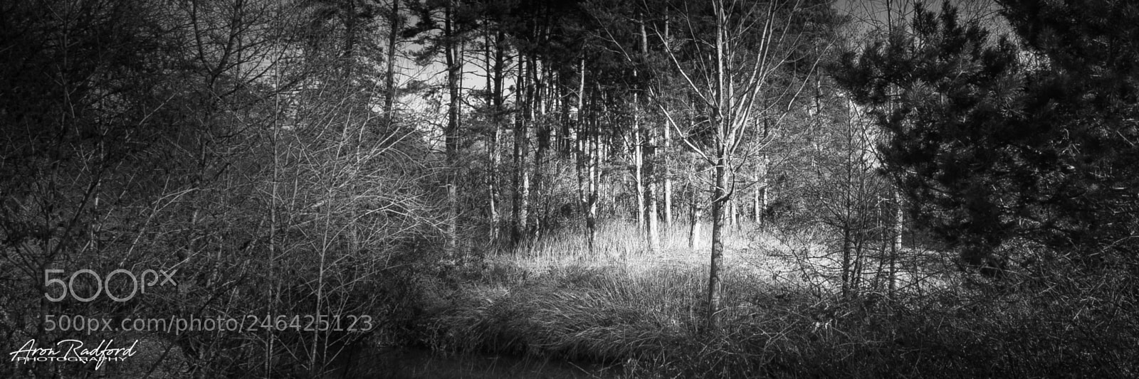 Nikon D5000 sample photo. River black water, bocking photography
