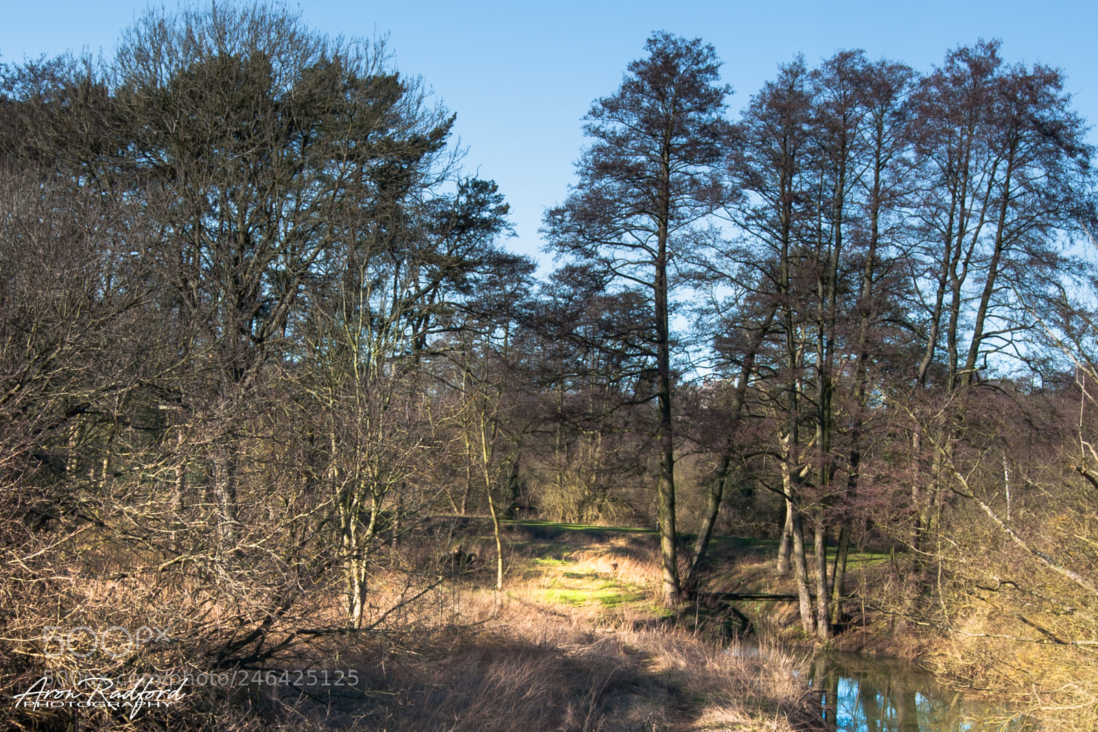 Nikon D5000 sample photo. River black water, bocking photography