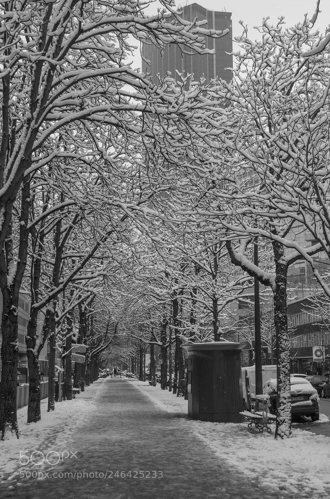 Pentax K-5 sample photo. Paris, boulevard de vaugirard photography