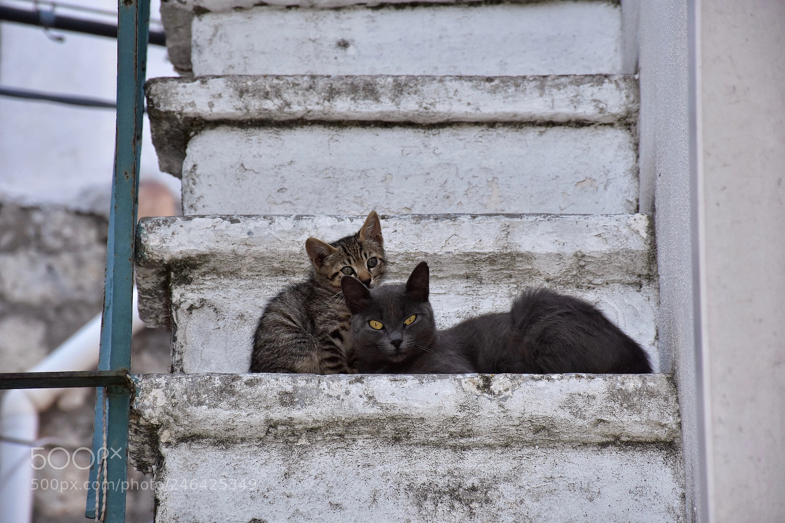 Nikon D7200 sample photo. Nei borghi del gargano photography