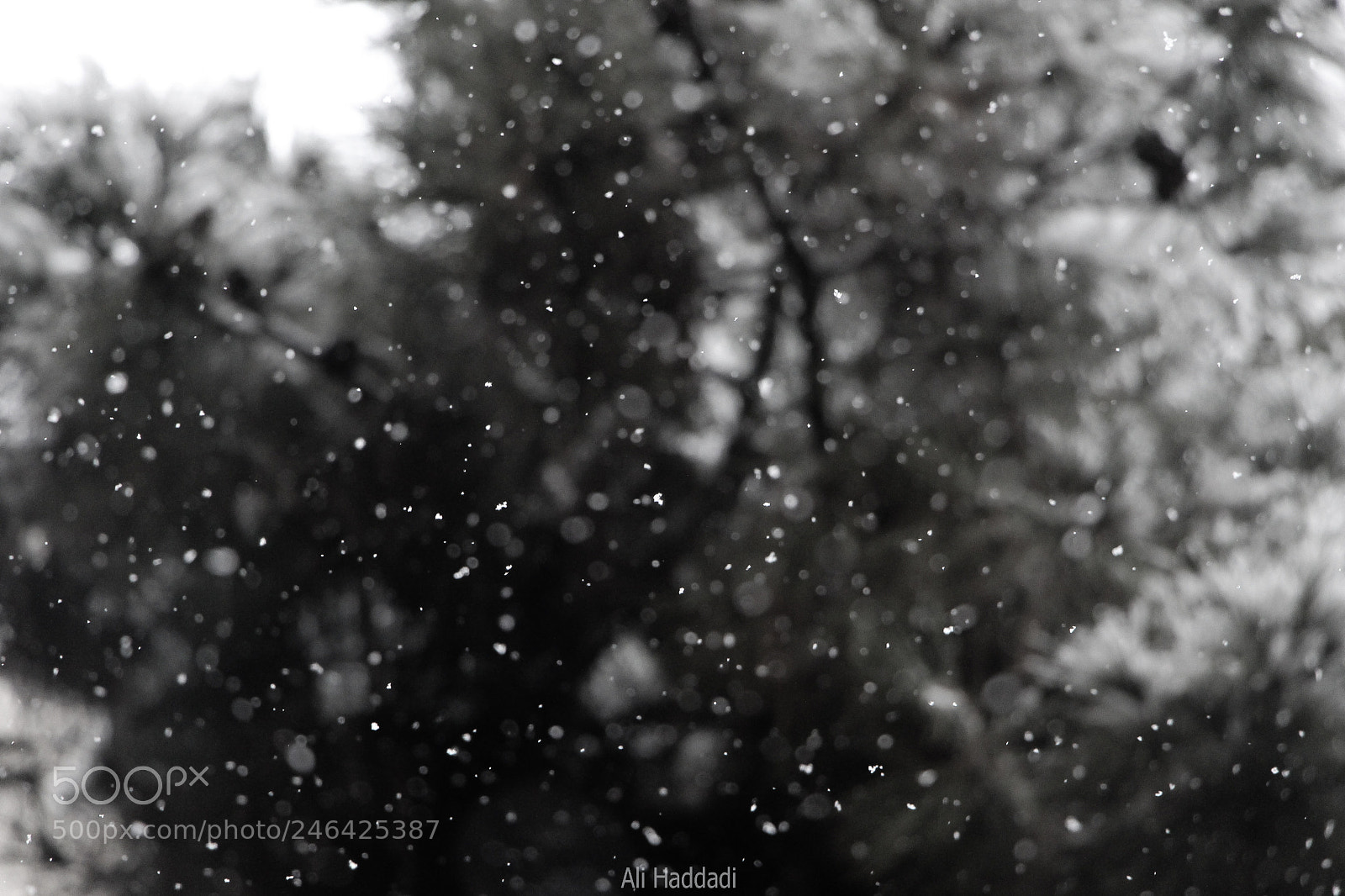 Canon EOS 700D (EOS Rebel T5i / EOS Kiss X7i) sample photo. Snow photography