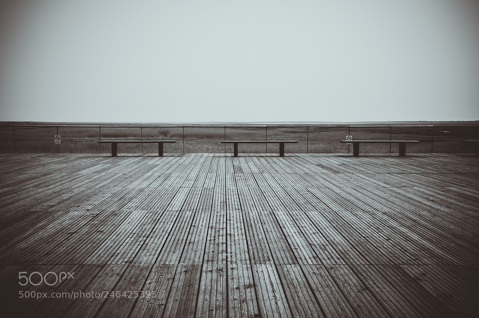 Nikon D90 sample photo. Walk to the beach photography